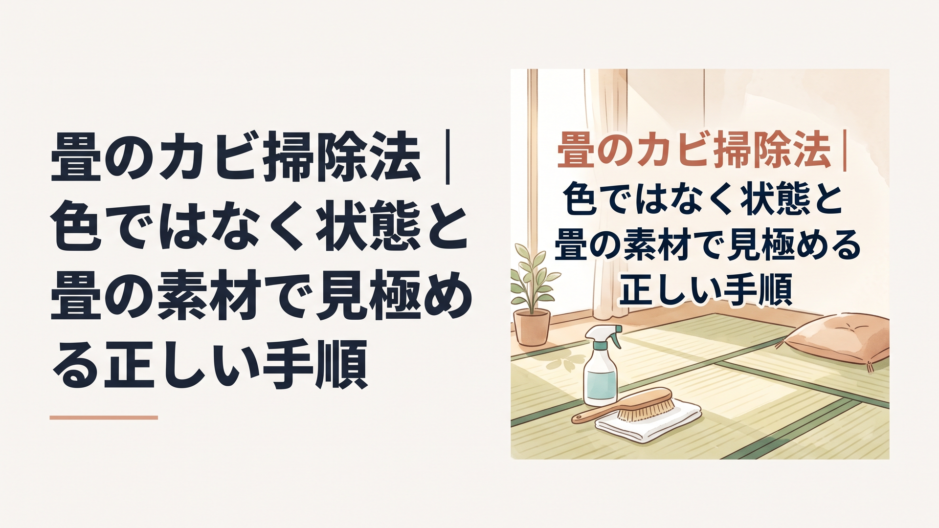 畳のカビ掃除法｜色ではなく状態と畳の素材で見極める正しい手順
