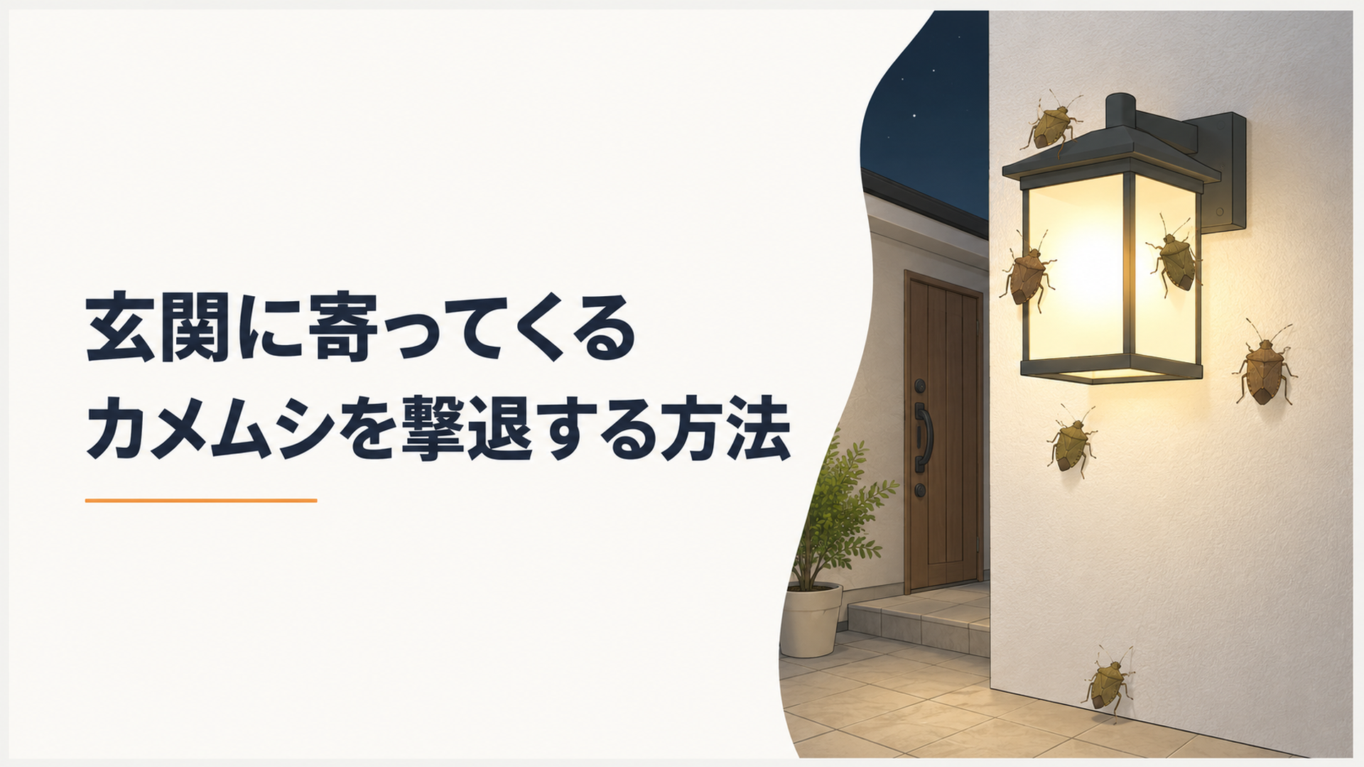 夜の玄関灯の周りにカメムシが数匹とまっている様子